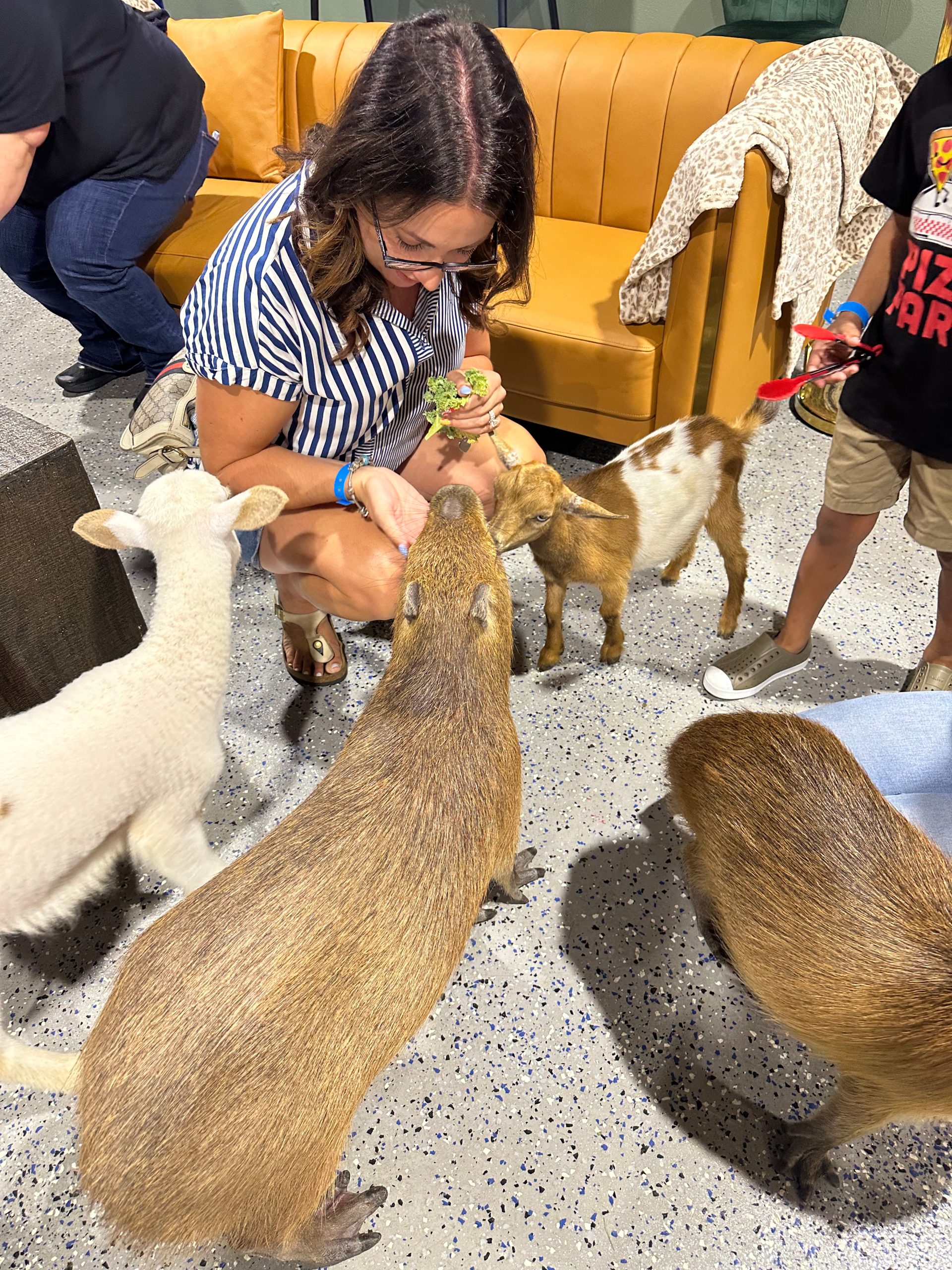 Feeing goats, a lamb, and a capybara too!