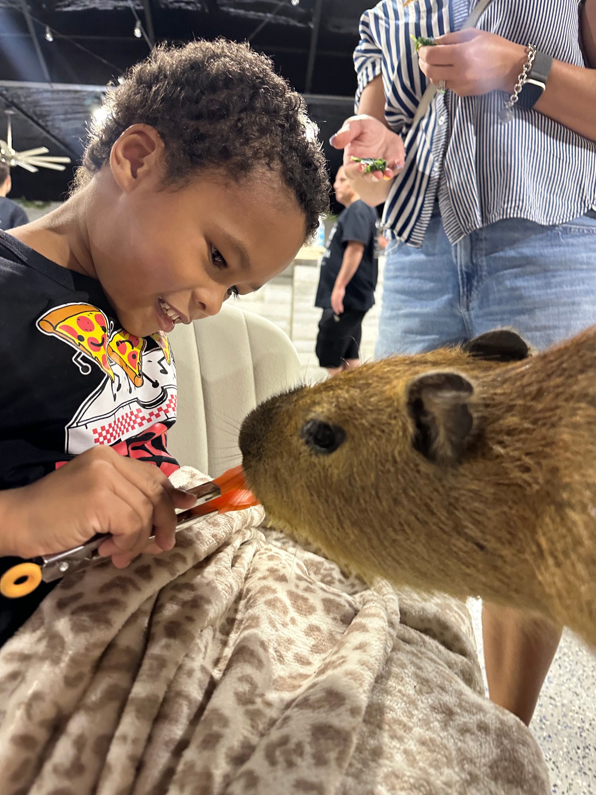 Boy feeding a capybara with tongs